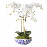 Rogue Artificial Phalaenopsis Orchid Pot Plant - White 46x46x66cm